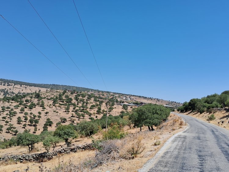 TELEKLER- İZMİR'İN ŞİRİN DAĞ KÖYÜ